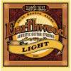 Ernie Ball 2004 Earthwood Acoustic Light