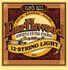 Ernie Ball 2010 Earthwood 12 string light acoustic