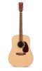 Martin DXMAE Acoustic Guitar with Pickup
