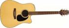 Takamine EG360SC Dreadnought - Solid Spruce Top Natural