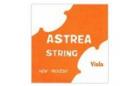 Astrea Viola G String