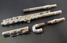 Vivace  Flute, Curved and Straight Heads