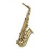Artemis A1 Alto Saxophone, Gold Lacquer