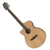 Tanglewood DBT SFCE PW LH, Discovery Series Electro-Acoustic, Left Handed
