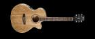 Cort AS0C4 OP Electro Acoustic Guitar All Solid Mahogany, Fishman Pre Amp, With Hardcase