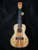 Blackwater  Spalted Maple Concert Uke with bag.